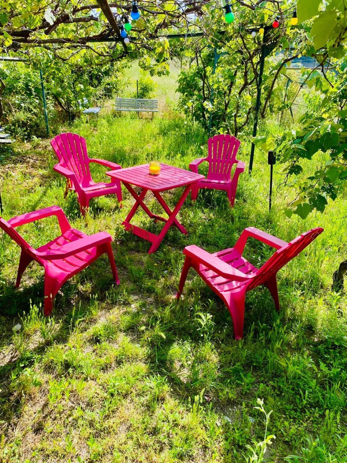 Echapee Belle - Vinayard View - Jacuzzi Bbq - Parking Apartamento Nice Exterior foto